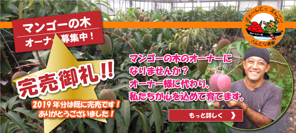 マンゴーの木 オーナー募集中！